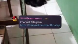 Abg Lagi Viral Terbaru 2025 Ketagihan Dengan Paha Slebew New Top Trending Viral Wikwik
